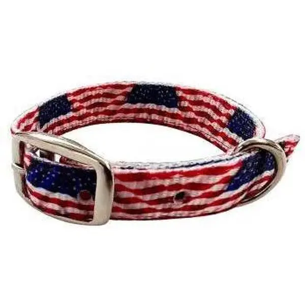American Flag designed nylon dog collar