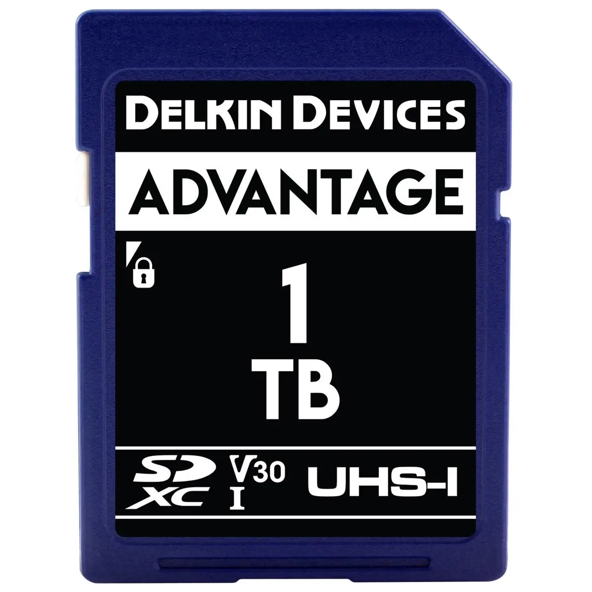 Delkin Devices Advantage 1TB UHS-I, Class 10, U3, V30 Memory Card for Photographers