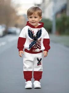Digital printed hooded sweatshirt set for baby and toddler boys featuring domineering bald eagle and star-spangled flag patterns, casual and comfy outfit suitable for daily outings, a trendy and versatile gift choice for little boys