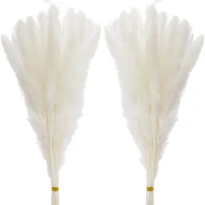 60 Pcs White Pampas Grass ,17 inch/45 cm Natural Dried Pampas Grass Branches Decor for Home Kitchen Garden Party Photographing Flower Arrangement Vase Decor