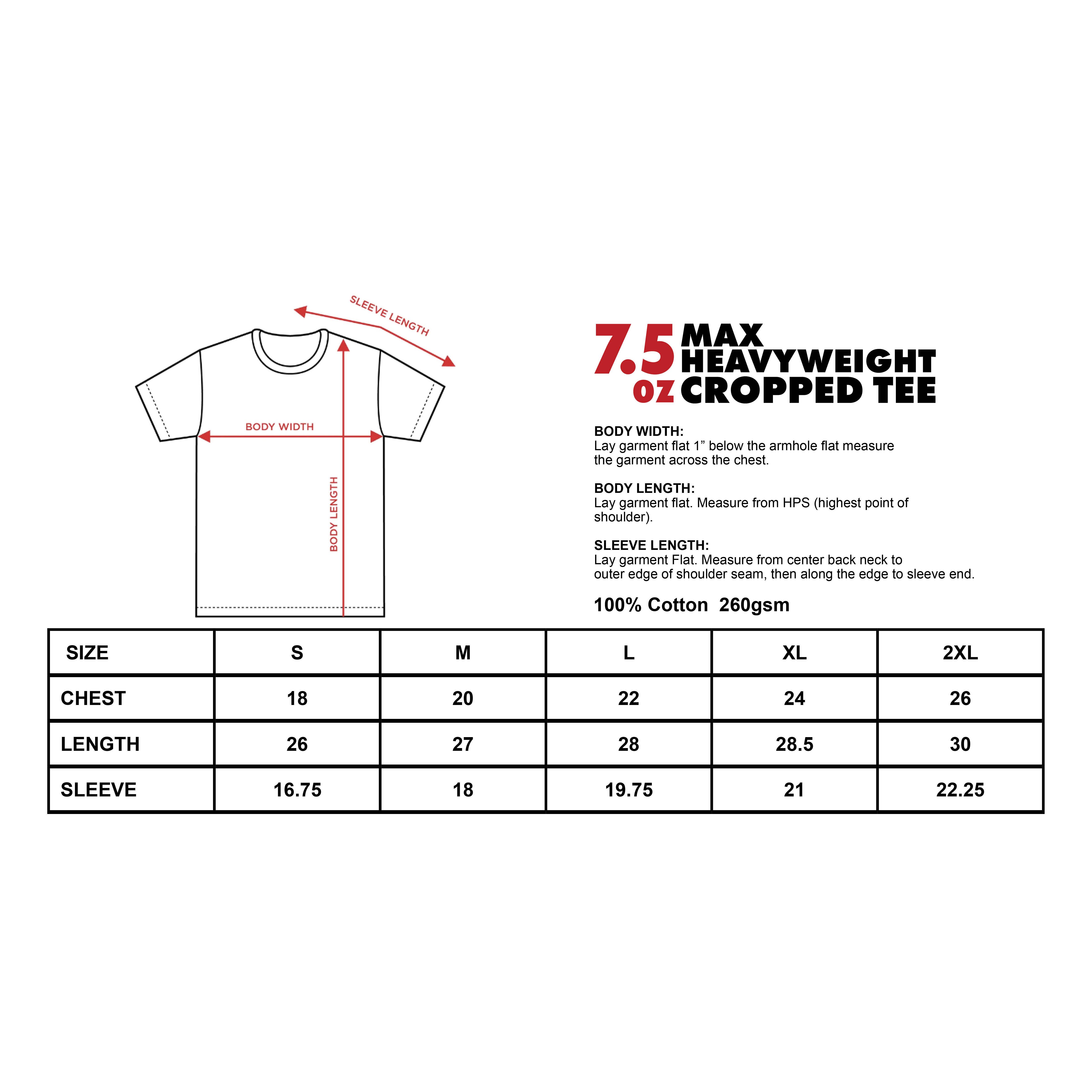 Max Heavyweight Cropped Tee