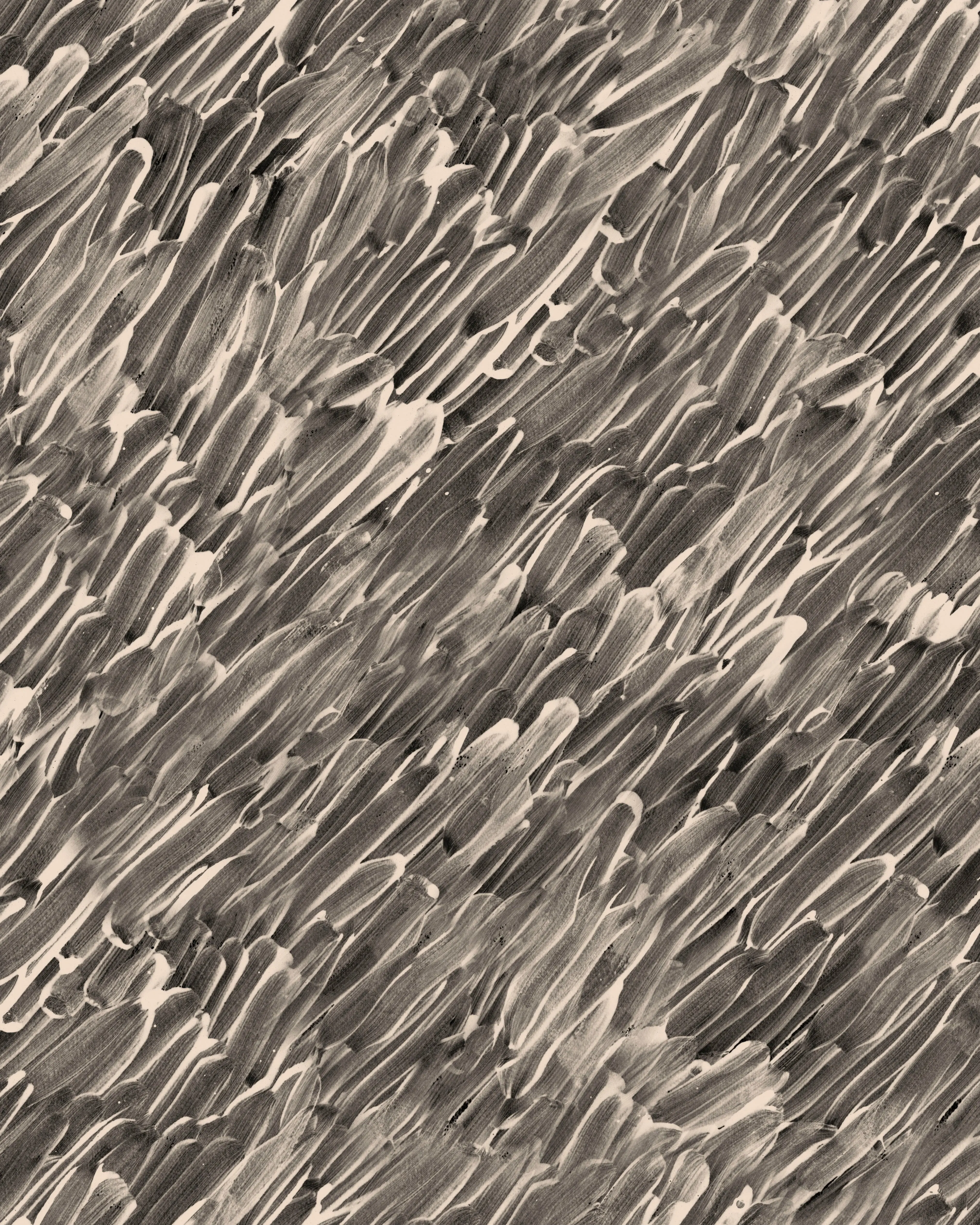 Plastered - White Tea on Charcoal - Commercial Wallpaper
