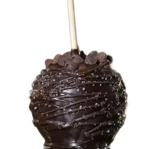 Dark Chocolate Sea Salt Gourmet Caramel Candy Apple -GF