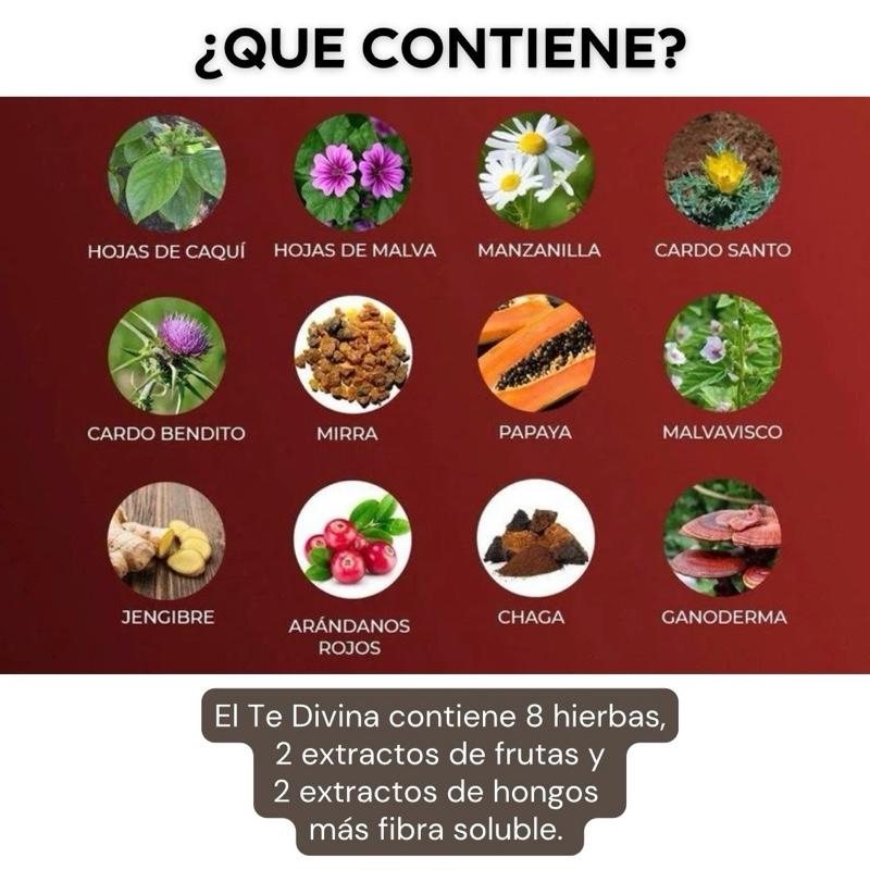 Té Divina Original Detox Herbal Tea 1 Sachet 1 Week Caffeine-Free Natural Infusion for Detoxification & Healthy Digestion Beverage Drink