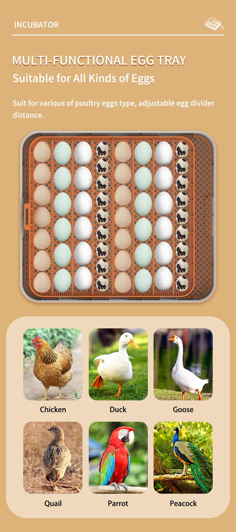 56 Egg Incubator for Hatching Eggs, Egg Incubators with Automatic Egg Turning, Temperature and Humidity Control, Egg Candler, Automatic Water Bottle Refill, Incubator for Chicken, Ducks, Goose