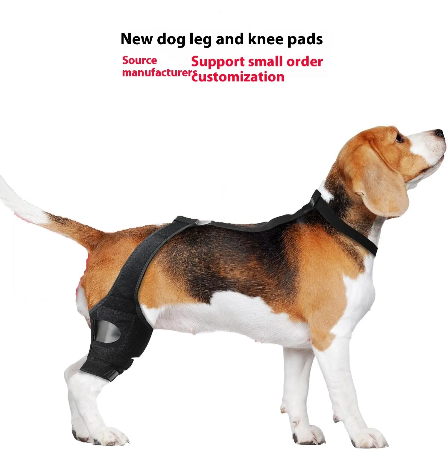 Dog Hind Leg Knee Support Brace
