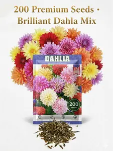 200pcs Mixed Color Dahlia Seeds for Planting Easy to Grow Wildflower Seeds for Vibrant & Pollinator Gardens, Non GMO Seeds