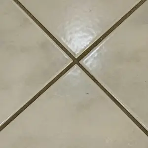 Product Review of Schenley 18-in-1 Steam Mop with Detachable Handheld Steamer for Walls, Floors, Tiles, Tackles Grease & Sticky Messes, Includes Multiple Accessories Cleaning Tools Cleaning Set from L**e