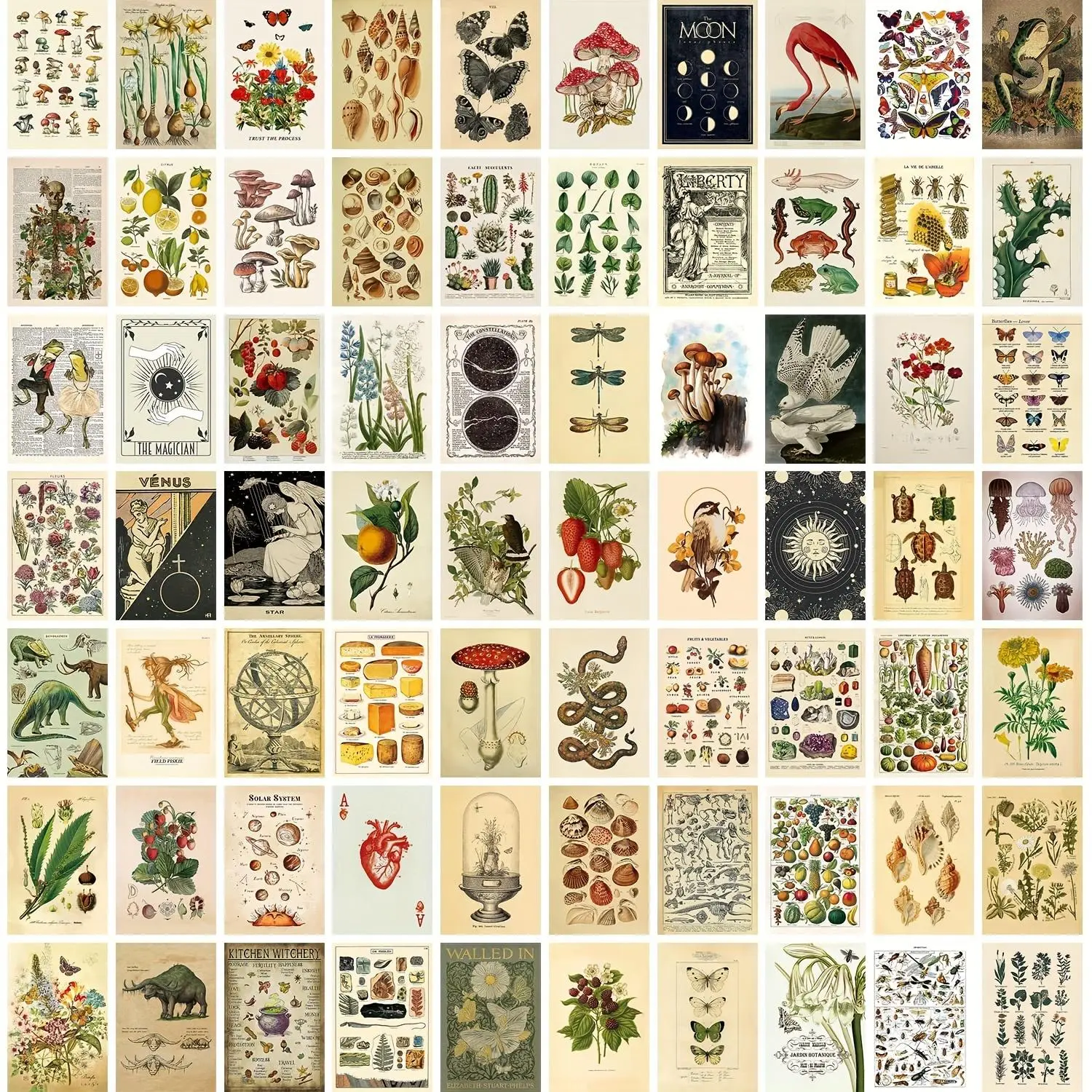 70 Pcs Wall Collage Kit Aesthetic Pictures, Posters for Room Aesthetic, Vintage Botanical Illustration Aesthetic Pictures, Cottagecore Decor for Bedroom, Dorm Green Wall Art for Boys and Girls