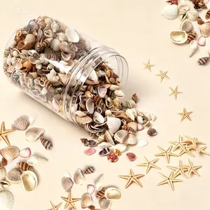 Natural Mixed Seashells and Starfish for Home Decor, Wedding Decorations, Candle Making, DIY Crafts, Vase Filler, Beach Theme Party Supplies, Bulk 1200 Pieces Small Ocean Shells