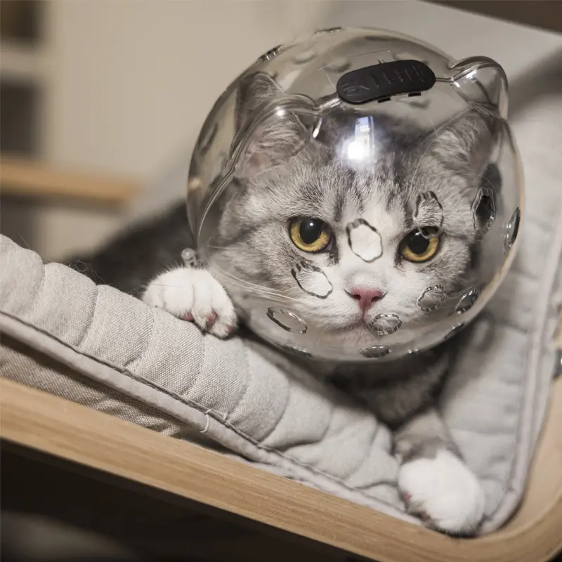Adjustable Clear Cat Helmet, 1 Count Breathable Cat Muzzle, Anti-licking Space Capsule Muzzle, Pet Protective Equipment, Pet Supplies for Indoor Outdoor Use