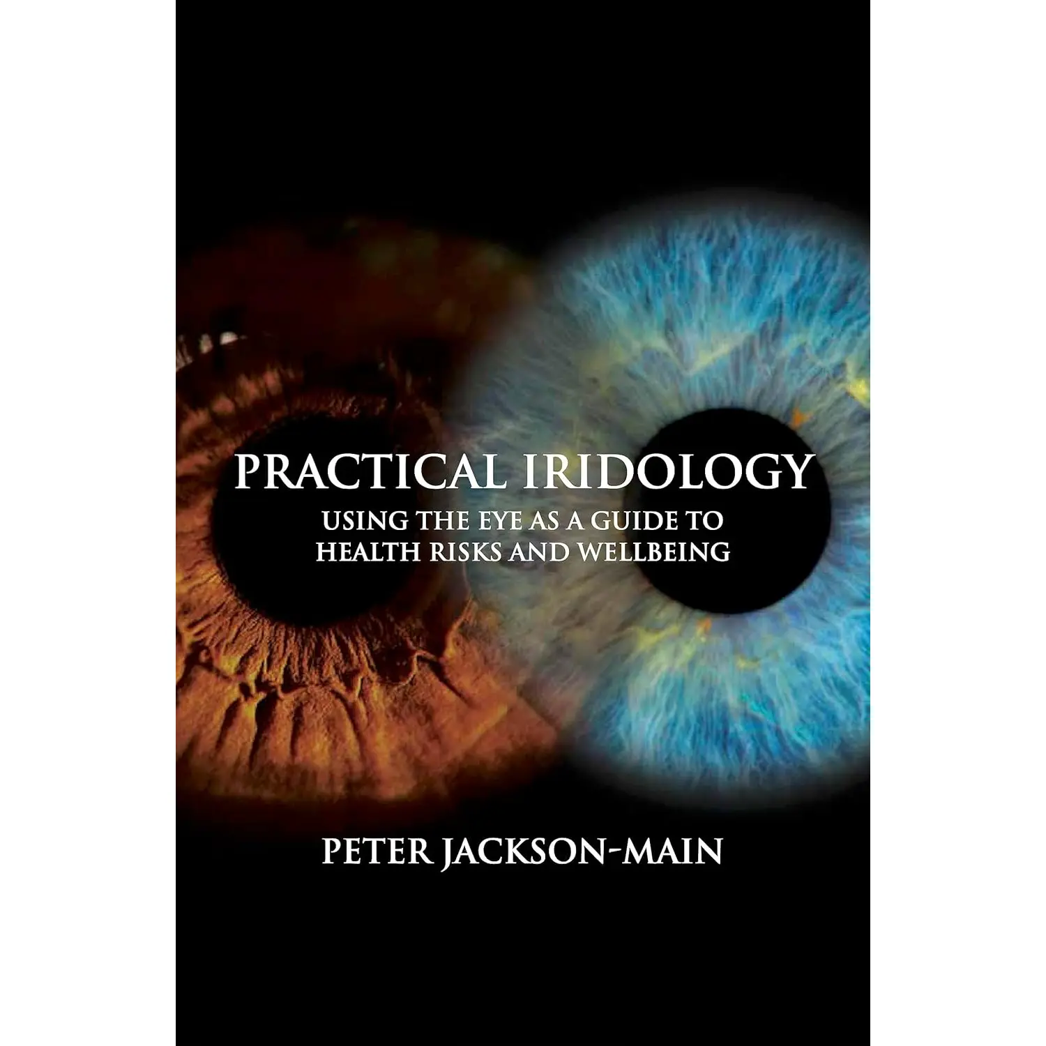 Practical Iridology: Using the Eye as a Guide to Health Risks and Wellbeing