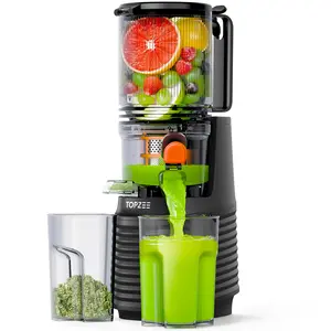 Large Caliber Cold Press Juicer, Detachable Bidirectional Filter Masticating Juicer Machines with Juice Cup, 65RPM, Dishwasher Safe, Grey