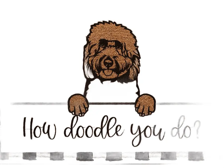 Doodle Door Mat - Funny Door Mat - 30x18" Coir Door Mat - DECOE-CM-401