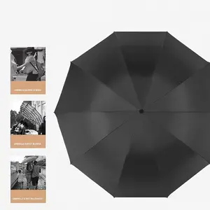 Windproof Folding Umbrella – Large Compact Umbrella with Water-Resistant Canopy, Leak-Resistant Travel Umbrella