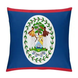 Belize Flag Throw Pillow