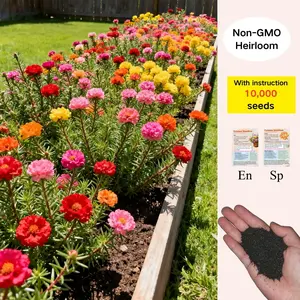10,000 Portulaca Seeds - Double-flowered Moss Rose Annual Perennial Flower Seeds for Planting Outdoors Non GMO Mixed Colors Large Blooms Attract Pollinators Easy to Grow All Seasons