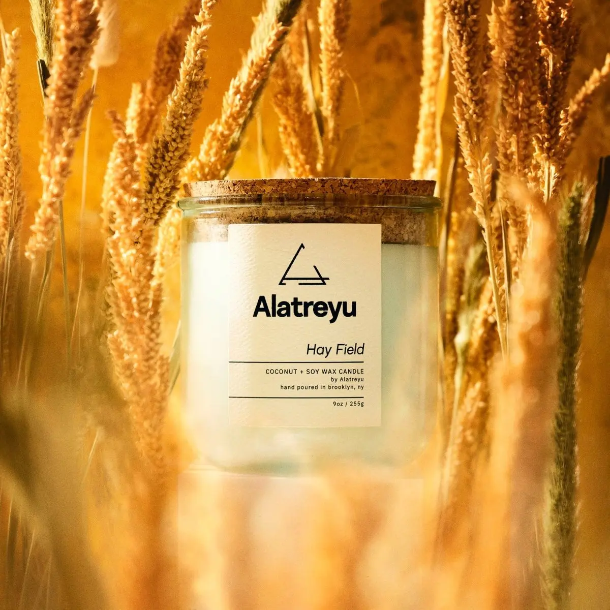 Hay Field Scented Candle | Sweetgrass · Alfalfa · Patchouli | The smell of fresh hay bales in a summer field | Hand-Poured Artisan Home Fragrance | 100% Coconut + Soy Wax | Pay What You Can