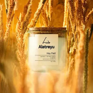 Hay Field Candle | Sweetgrass · Alfalfa · Patchouli | 100% Coconut + Soy Wax | Pay What You Can