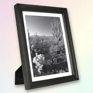 10.375x12.375 Matted Basic Frame Black - for 8.75x10.75 Photos, Threshold, 1 Count