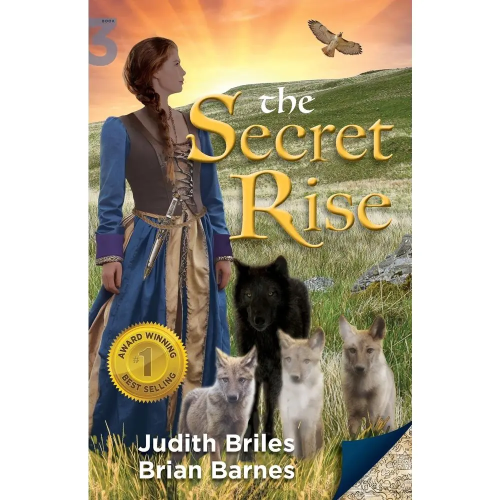 USED-The Secret Rise by Briles, Judith (Paperback)