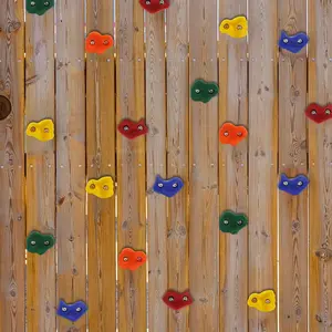 25 PCS Rock Climbing Holds Set with Mounting Screws and Hardware for DIY Kids Indoor and Outdoor Play Set Use