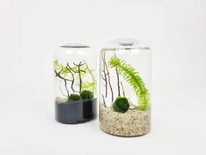 CY Bud Vase Java Moss Ball DIY Terrarium Craft Kit Unique Gifts Office Desk Accessories Mother's Day Gifts Cute