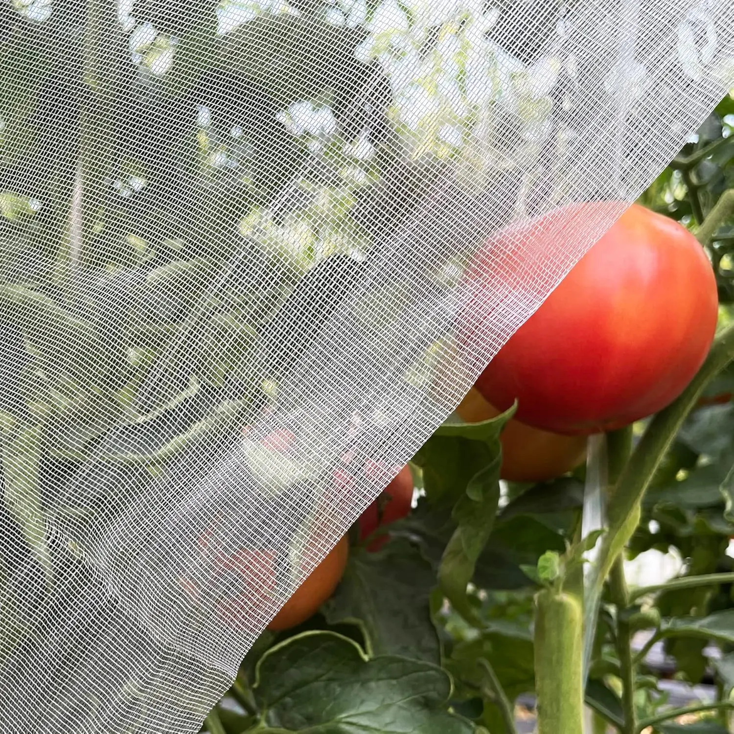 Ultra Fine Garden Netting 4'x10'  Pest Barrier Covers Bird Patio Mosquito Netting Tree Vegetable Mesh Protection Netting Fruit Greenhouse Row Nets for Garden Plant
