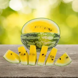 Heirloom Golden Honey Yellow Watermelon Seeds - Grow Seeded Yellow Watermelons