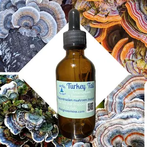 Turkey Tail Dual Extraction Tincture Organic