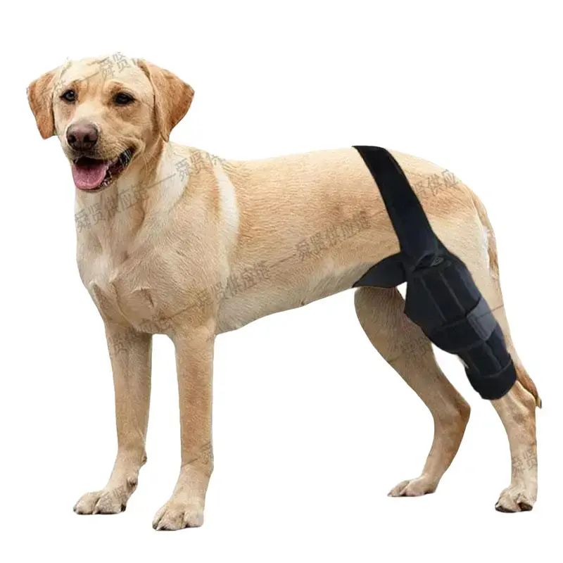 Monochrome Dog Rear Leg Support Brace & Full-Leg Foam-Mesh Protector 2-in-1 System - Matte Black Mobility Aid with Reflective Strips, Hip Anchor Strap, Ergonomic Contour for Knee Post-Surgery Care, Injury Support