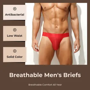 Men's Nylon High-Cut Low-Waist Briefs, Thin Ice Mesh Breathable Menswear, U-Convex Large Bag Sexy Underwear