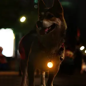 Pet LED Pendant Cat Dog Universal Waterproof Adjustable Flashing Warning Sign Night Walk Anti-Lost Light, Night Glow Lamp