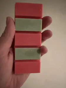 Watermelon Sugar Wax Melt | Watermelon |