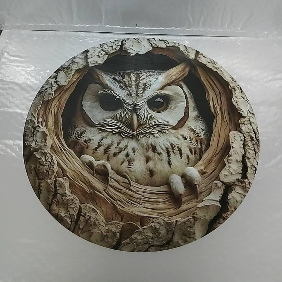 Owl Design Wall Hanging Decor, Wall Mounted Decor, Creative Owl Design Unframed Decorative Wall Art, Wall Decor for Home, Office, Bar, Kitchen & Cafe, Ornaments, Hangable