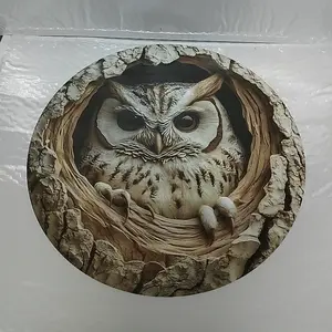 Owl Design Wall Hanging Decor, Wall Mounted Decor, Creative Owl Design Unframed Wall Art, Wall Decor for Home, Office, Bar, Kitchen & Cafe, Ornaments, Hangable