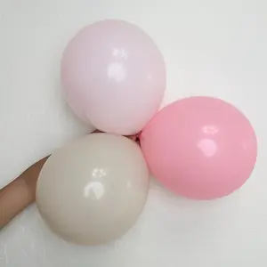 Macaron Blush Balloon Garland 3-in-1 Kit