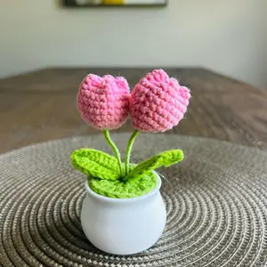 Crochet Flower Pot Cute Gift Decor Desk Accessory