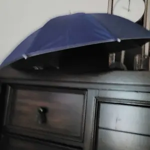 review image 4