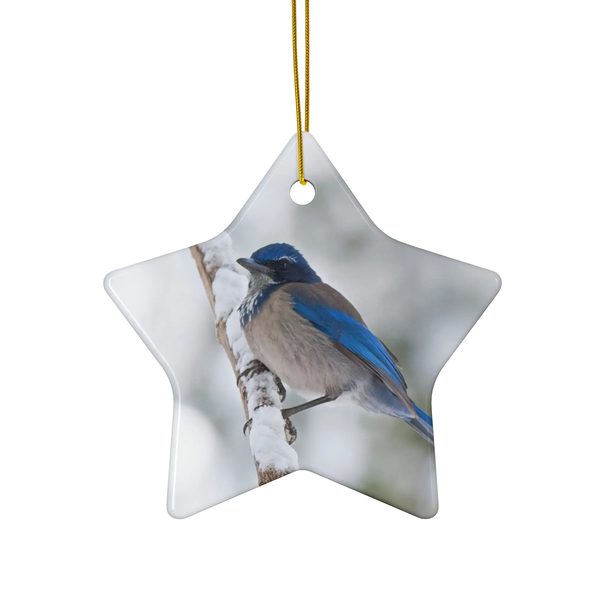 Ceramic Ornament, Scrub Jay in the Snow, Christmas Tree Decoration, Winter Bird Ornament, Holiday Gift, Bird Lover Gift, Wildlife Ornament