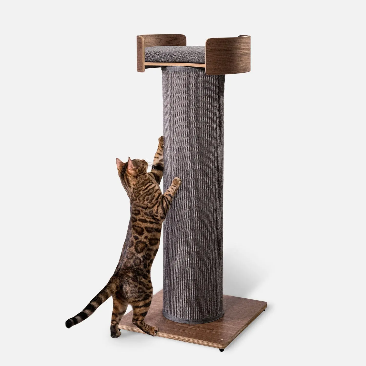 Giant Scratching Tower Giant Scratching Tower