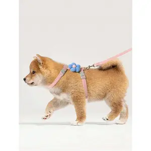 Cute Floral Design Dog & Cat Harness With Leash, Comfortable & Lightweight, Escape-Proof Pet Harness Set