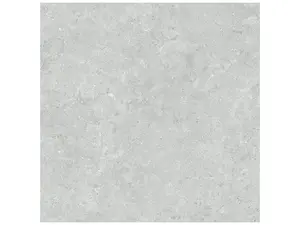 20 x 20 in Coliseo Platinum Matte Pressed Glazed Porcelain Tile