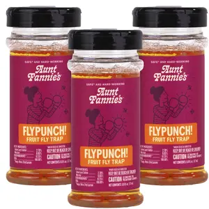 Aunt Fannie's FlyPunch Fruit Fly Trap for Indoor and Kitchen Use Pack of 3