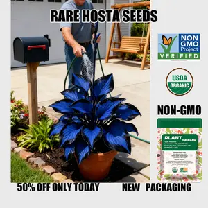 Plant Seeds Rare Deep Blue & Purple Hosta Seeds Perennial Plants for Outdoor Gardens Pollinator Attraction Indoor Bonsai Decoration 800 Premium Seeds for Lush Foliage All Seasons Easy Gardening Timeless Perennials Flexible Planting Options