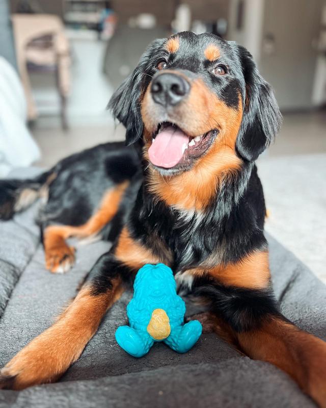 Yeti Puff and Play Interactive Enrichment Treat Dispensing Dog Toy - Durable Dog Toy, Microwave & Dishwasher Safe, Refillable with Yeti Nuggets, Animal Print, Blue
