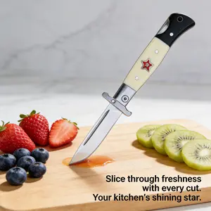 Household fruit knife made of stainless steel material