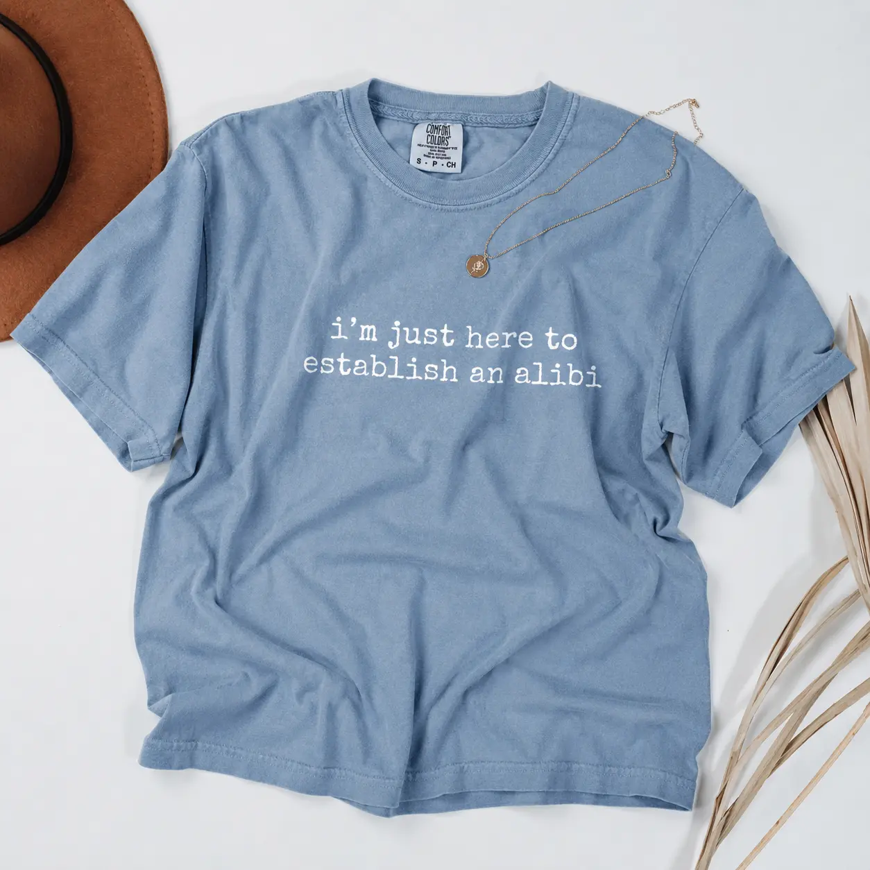 Comfort Colors I'm Just Here To Establish An Alibi, Funny Sarcastic TShirt, Humorous Quote T-Shirt, Witty Saying Tshirt, Casual Graphic Tee, Funny Gym - TrendWear USA