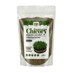 Old Cobblers Farm Wicked Tuff Turf Chicory (Other Forages) (5 lbs | 10 lbs | 15 lbs | 20 lbs)