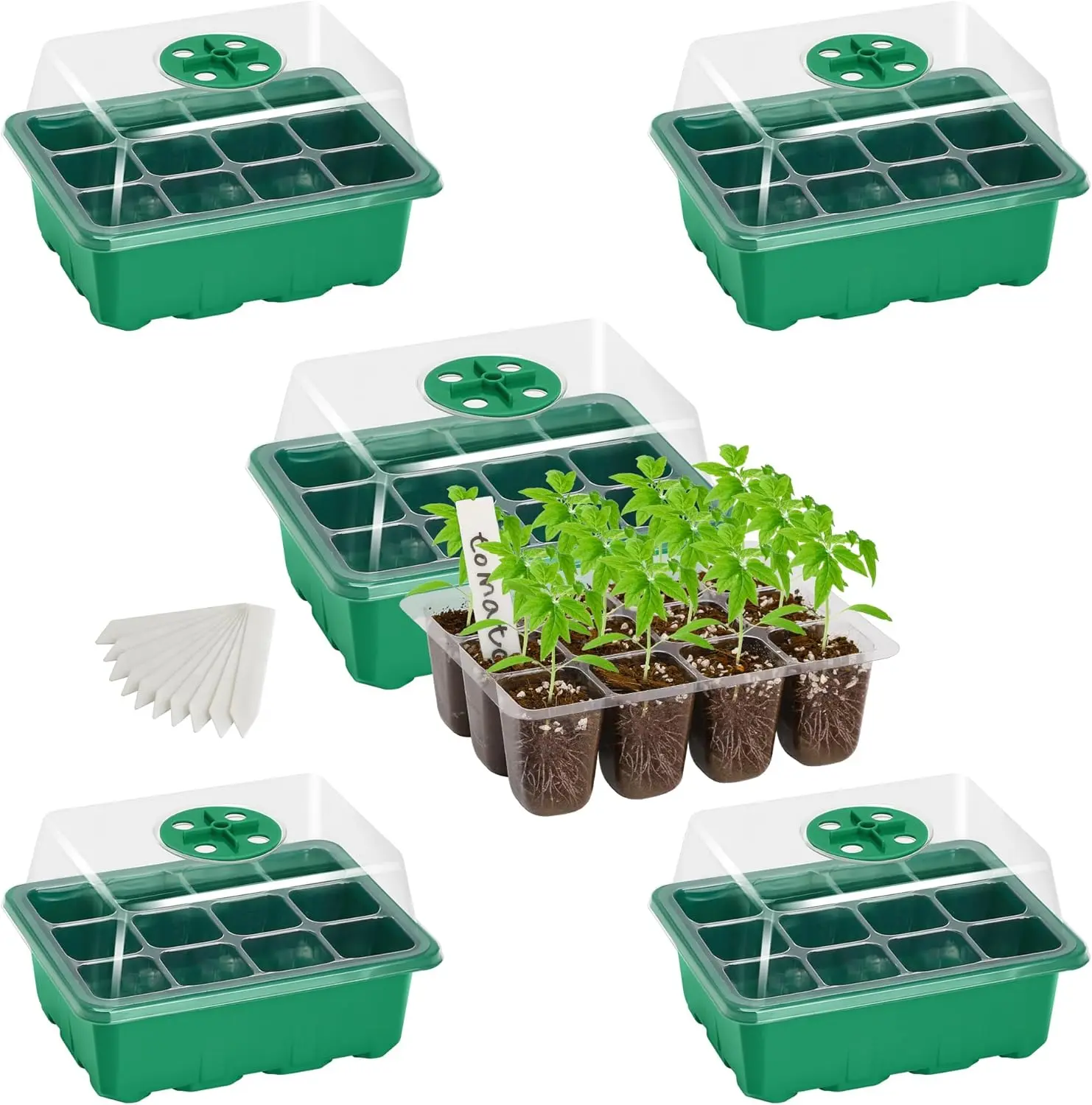 5-Pack Seed Starter Trays, Seed Starter Kit with Adjustable Humidity Dome and Base Indoor Greenhouse Mini Propagator for Seeds Growing Starting (12 Cells Per Tray, Green)